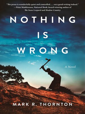 cover image of Nothing Is Wrong